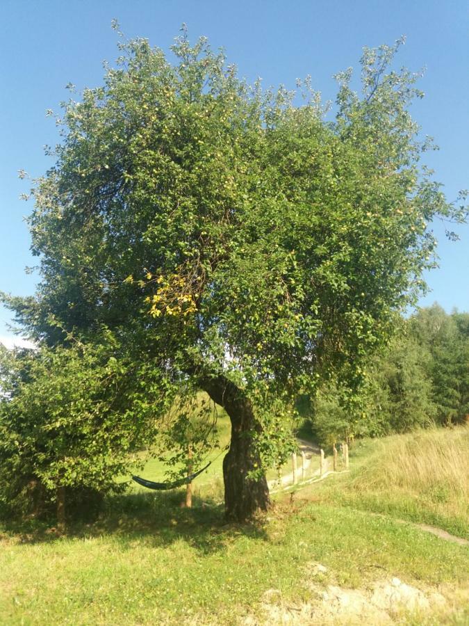 Bjorkowo Villa Polanczyk Bagian luar foto